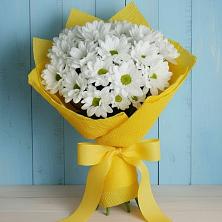 Букет цветов из:  Хризантемы в Балаклаве