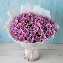 Букет цветов из:  Хризантемы в Балаклаве