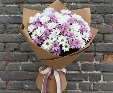 Букет цветов из:  Хризантемы #REPLACE_PRED# Балаклаве