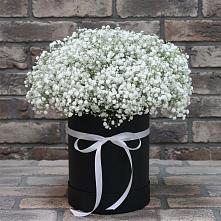 Цветочная композиция из Гипсофила в шляпной коробке #REPLACE_PRED# Балаклаве