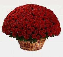 Премиум букет из: Розы в Балаклаве